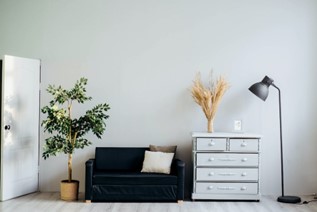 Room interior with natural elements